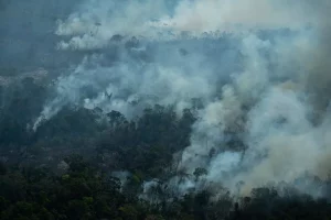 Amazônia tem total de queimadas acima da média histórica em agosto, apontam dados do Inpe