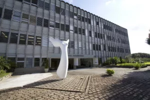 USP cancela concurso de enfermagem com 7 mil inscritos; sobrinhas de funcionária ficaram em 1º e 2º lugar