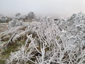 Frente fria que causou neve no Sul derruba temperaturas de SP e Campo Grande nesta sexta e de Rio e BH no sábado