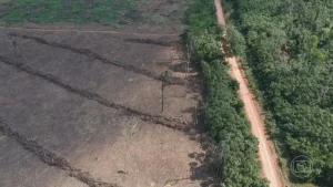 Amazônia Legal tem o maior desmatamento em 15 anos, aponta Imazon