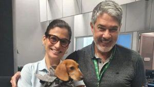 “Pet influencer” de Marabá “invade” Jornal Nacional.