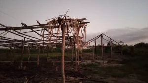 Homens armados queimam escola em lote de terra pública no Pará, denuncia Comissão Pastoral da Terra