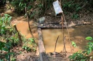 Onze trabalhadores são resgatados de situação semelhante à escravidão em fazenda no Pará; vítimas bebiam água no mesmo córrego que gado