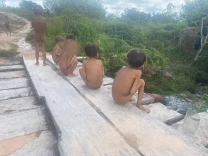 Território Yanomami tem 28 mil indígenas e foi tomado por mais de 20 mil garimpeiros