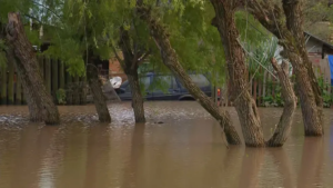 Número de pessoas fora de casa no RS chega a 28 mil após enchentes; moradores acampam em estrada