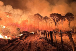 Incêndios no Pantanal tomam conta da BR-262 e fazem motorista atravessar ‘corredor de fogo’