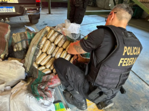 Apreensão de cocaína na Amazônia Legal triplica em quatro anos, aponta estudo